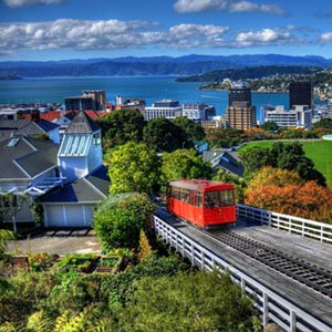 international New Zeland package