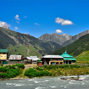 budget international  package